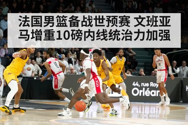 France basketball team