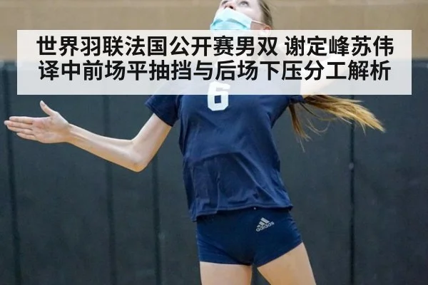 世界羽联法国公开赛男双 谢定峰苏伟译中前场平抽挡与后场下压分工解析