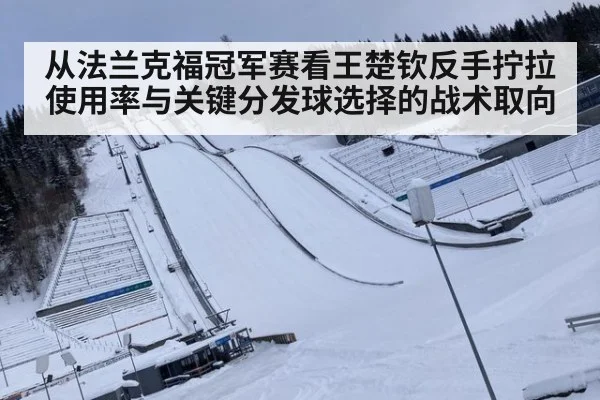 从法兰克福冠军赛看王楚钦反手拧拉使用率与关键分发球选择的战术取向